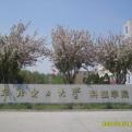 华北电力大学科技学院